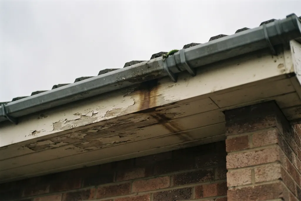 Soffits, fascias and cladding